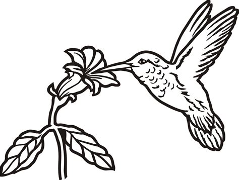 Birds, birds & flowers, flowers, flowers & birds, vines & natural, weddings & anniversaries. Pin on birds, animals