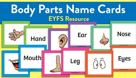 Otherwise, your likability could suffer. Early Years 'Learn the Body Parts' Name Cards | Teachwire ...
