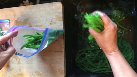 You can blanch your tomatoes to remove the skin for certain recipes and for canning! Blanching and Freezing Green Beans - YouTube