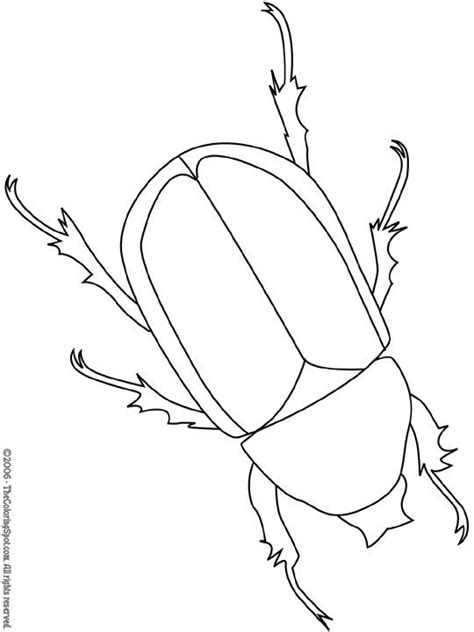 Beetle Bugs And Rodent Embroidery Patterns Insect Coloring Pages
