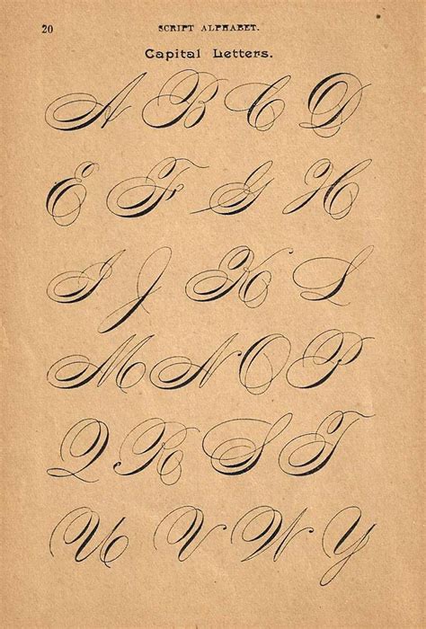 You can also use these cursive capital letters and gothic calligraphy a to z stencils and clip art for monograms and bulletin boards. 1890s Calligraphy Print Page Capital Letters Ornamental