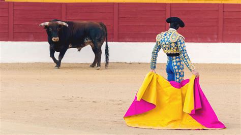 Las Corridas De Toros Un Curioso Festejo De La Tradición Española
