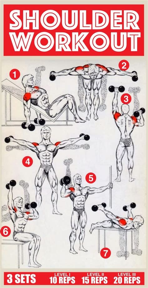5 Must Do Shoulder Exercises Video And Guide