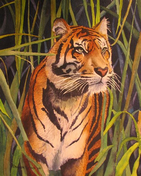 Tiger Watercolor Painting Photo Of Sharon Farber S 10 X 8 Flickr