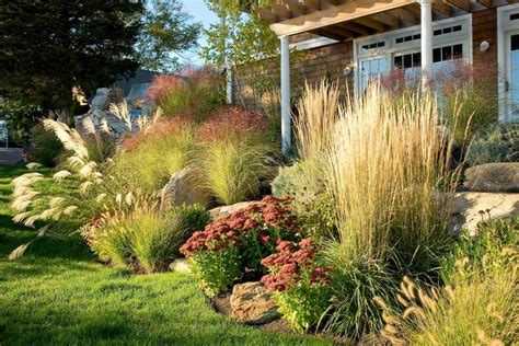 Great Changes In Heights And Textures Of These Perennials For Late
