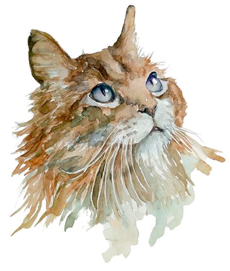 Cat37 Watercolor 30x40cm Rart