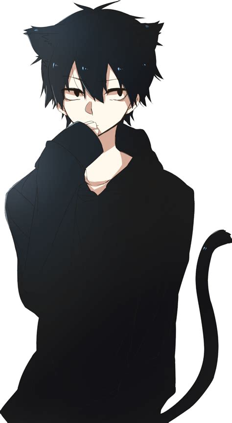 Black Cat Anime Black Hair Anime Guy Black Hair Boy Cute Anime Cat
