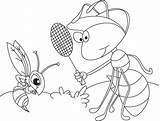 Anthill Ant Coloring Template Mosquito sketch template