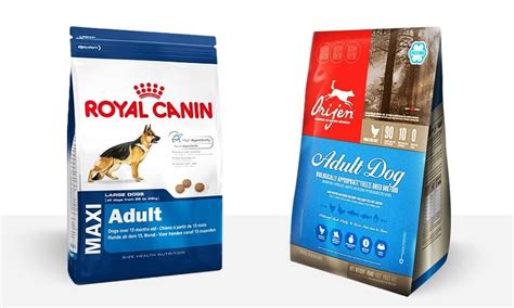 Some of these foods literally save lives. Dog Food Review |Royal Canin Maxi Adult Vs Orijen Adult ...