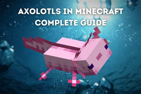 Axolotls In Minecraft Complete Guide Pets From Afar