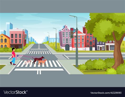 City Road With Crossroads Traffic Lights Boy Vector Image