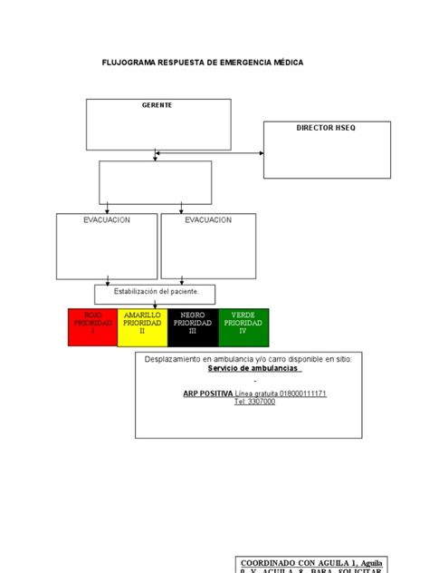 Flujograma Respuesta Ante Emergencias Pdf Lesión Cerebral