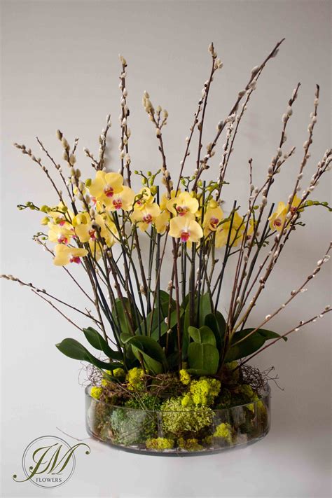 Yellow Orchid Display Arrangements Ikebana Orchid Flower Arrangements Orchid Centerpieces