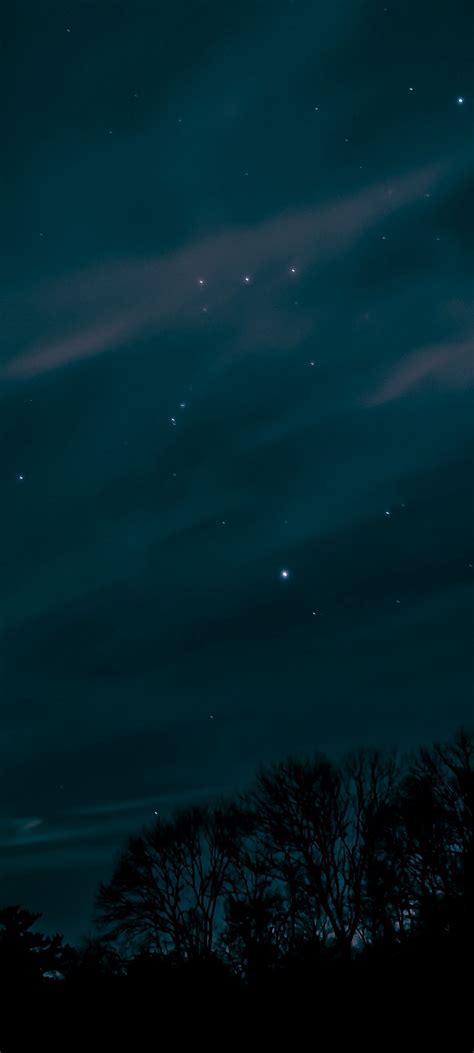 Night Sky Stars Trees 1080x2400 Stock Wallpaper Night Sky Stars