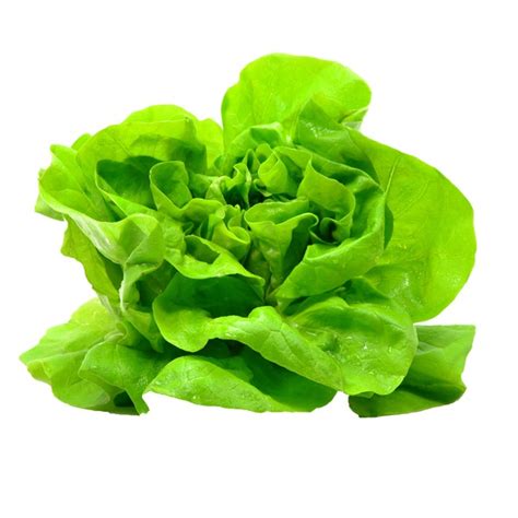 Organic Green Leaf Lettuce Each From Whole Foods Market Instacart