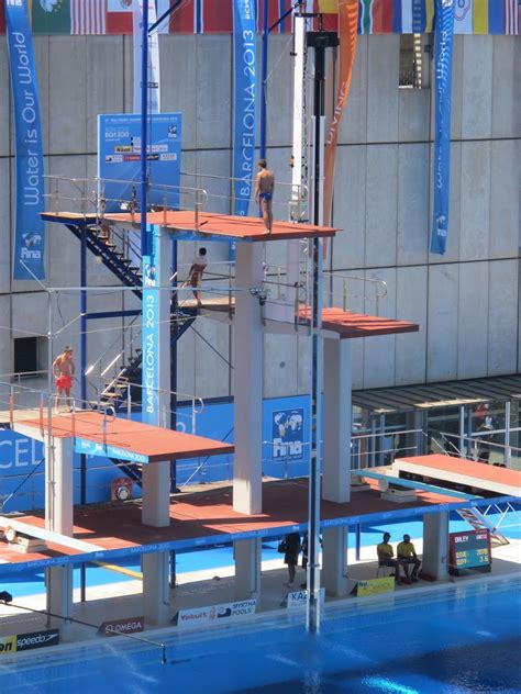 The Different Heights Of Diving Boards At The Olympics Diving Boards
