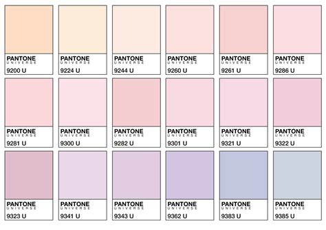 Image About Pink In Colors By Comment ça Va On We Heart It