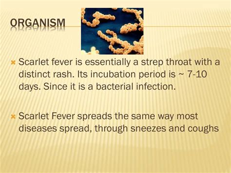 Ppt Scarlet Fever Streptococcus Powerpoint Presentation Free