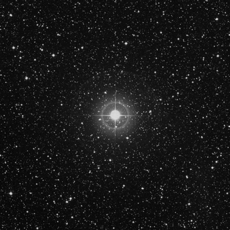 τ Cygni Tau Cygni Star In Cygnus