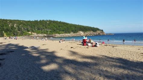 Sand Beach Acadia National Park Me Top Tips Before You Go Tripadvisor