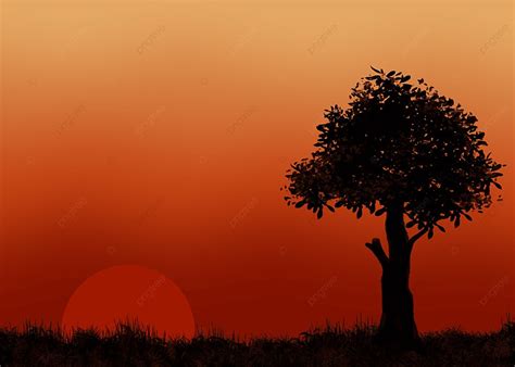 Sunset View With Tree And Grasses Silhouette Background Sunset Nature