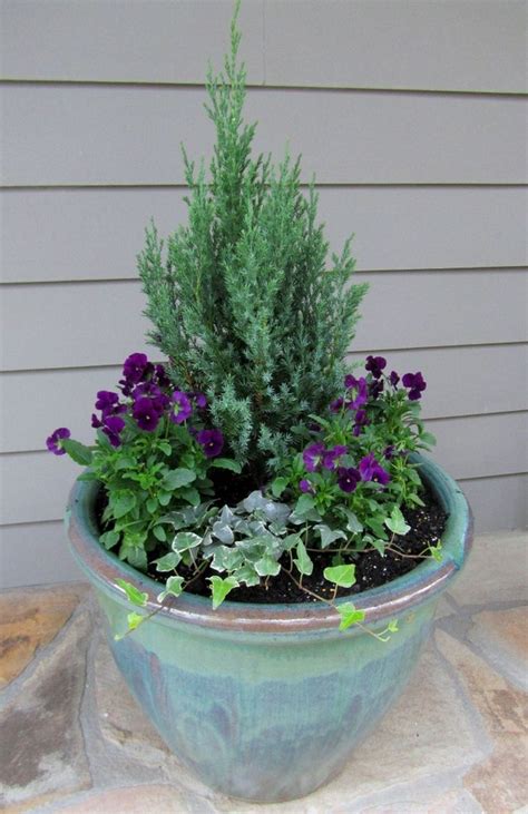 The 25 Best Winter Container Gardening Ideas On Pinterest Christmas