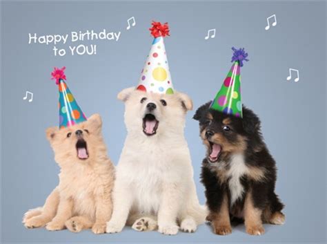 1331 Bd Dogs Sing Happy Birthday