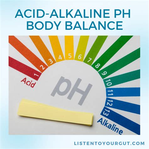 Ph Acidalkaline Balance Listen To Your Gut