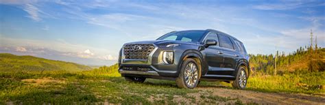 Seems forest rain is more gray than green. 2020 Hyundai Palisade Exterior Color Options