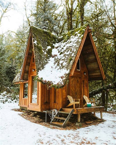 Cabin 200 Sq Ft Cabin With A Moss Covered Roof 1080 × 1345 Tiny