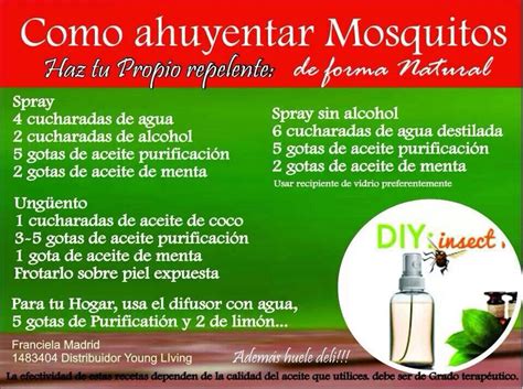 Contra Los Mosquitos Como Ahuyentar Mosquitos Repelente Aceite