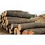 Log & Timber Pros