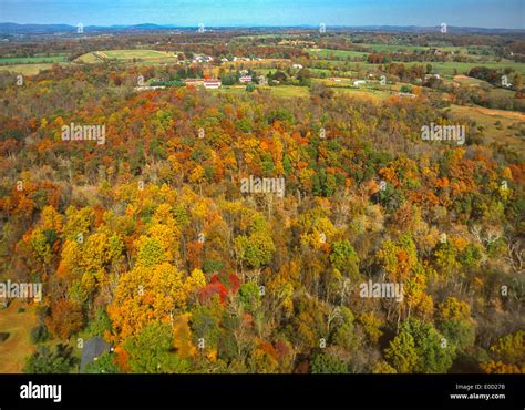 Loudoun County Virginia Usa Aerial Of Autumn Foliage In Forest