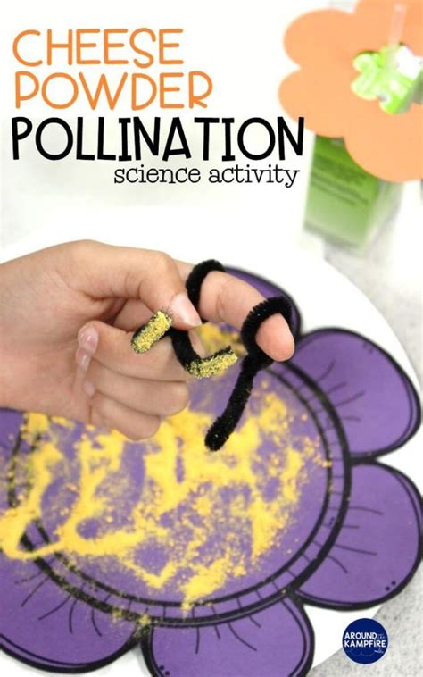 Cheese Powder Pollination Activity For Kids Around The Kampfire