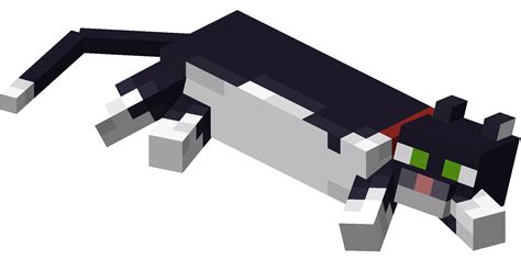 Filelying Down Tuxedo Cat With Red Collarpng Minecraft Wiki，最详细的官方我