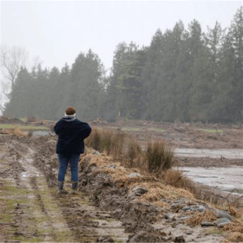 Canterbury Farmers Still Counting The Cost Of Flooding Edairynews En