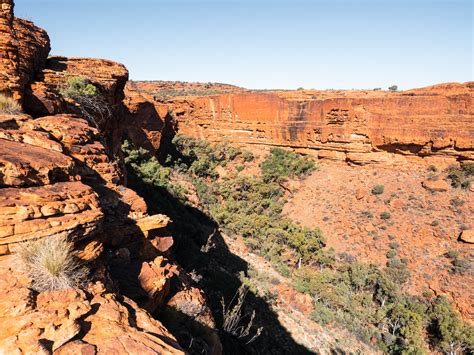 How To Visit Kings Canyon In Watarrka National Park Beyond Wild Places