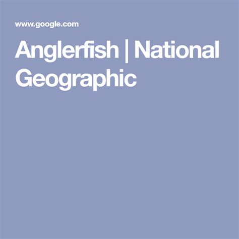Anglerfish National Geographic Angler Fish National Geographic