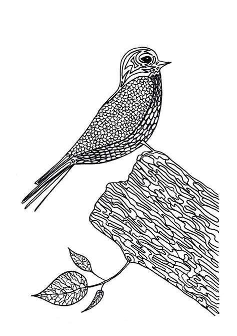 lunchtime bird coloring pages thriftyfun