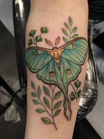 Amazing Moth Tattoos Designs With Meaning And Symbolism Jobs Holders