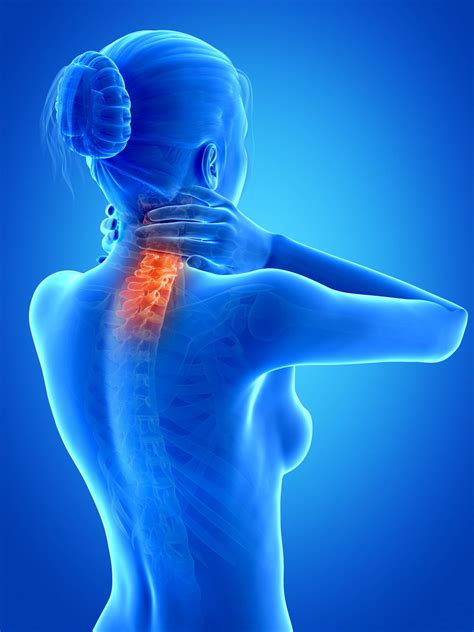 The cervical spine has 7 stacked bones called vertebrae, labeled c1 through c7. Treating Neck Pain Spreading To The Back of Your Head