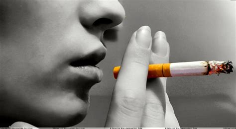 Tons of awesome wallpapers for boys to download for free. Smoking Boy Wallpapers - Wallpaper Cave