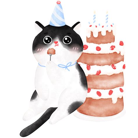 Funny Happy Birthday Cat