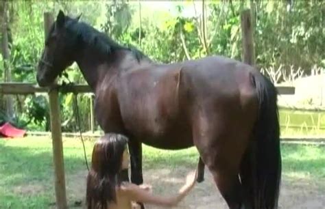 Horny Girl Gets High On Anal Sex With Horse Zoo Tube 1