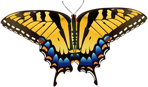 Yellow Butterfly Clipart Png 10 Free Cliparts Download Images On