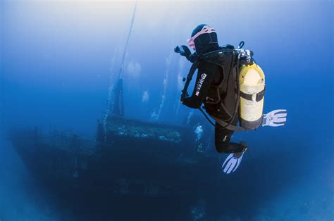 Most do not contain gmos and are safe for most people to enjoy. Orange Shark