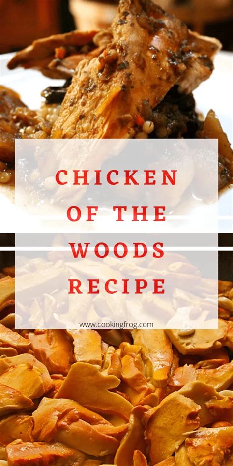 Chicken Of The Woods Recipe Cooking Frog