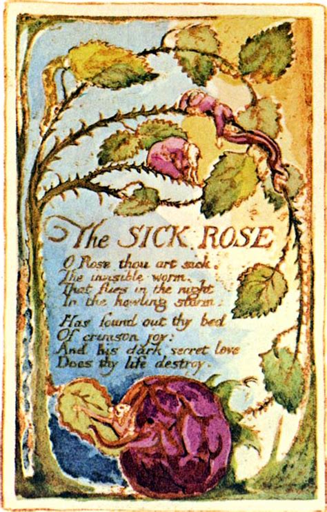 The Sick Rose 英语百科 中国最大的英语学习资料在线图书馆 英文写作网站