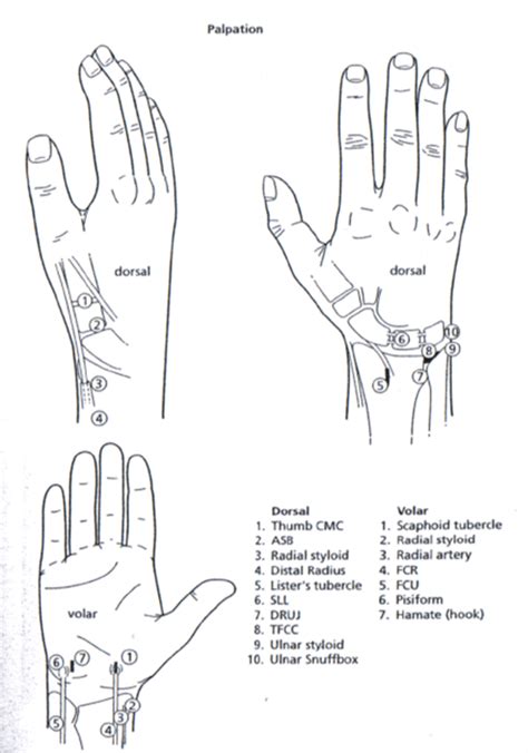 Hand And Wrist Examination Wikimsk