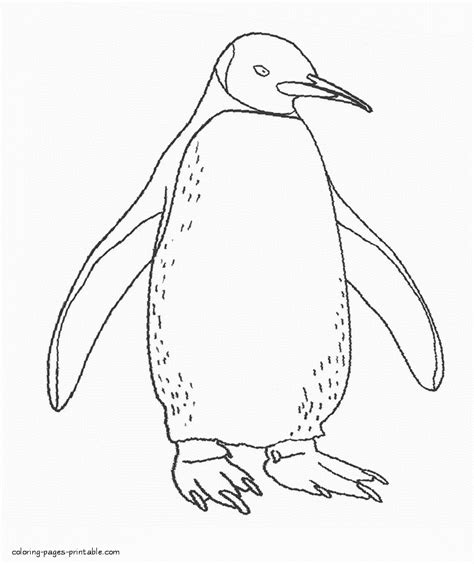 countries and cultures mexico coloring pages mexican animals section mexican recipes dltk's crafts for kids mexican animals coloring pages. Sea animals printable. Penguin || COLORING-PAGES-PRINTABLE.COM